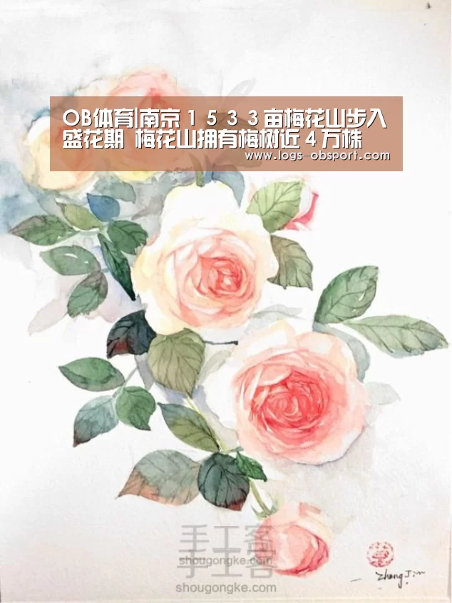 OB体育